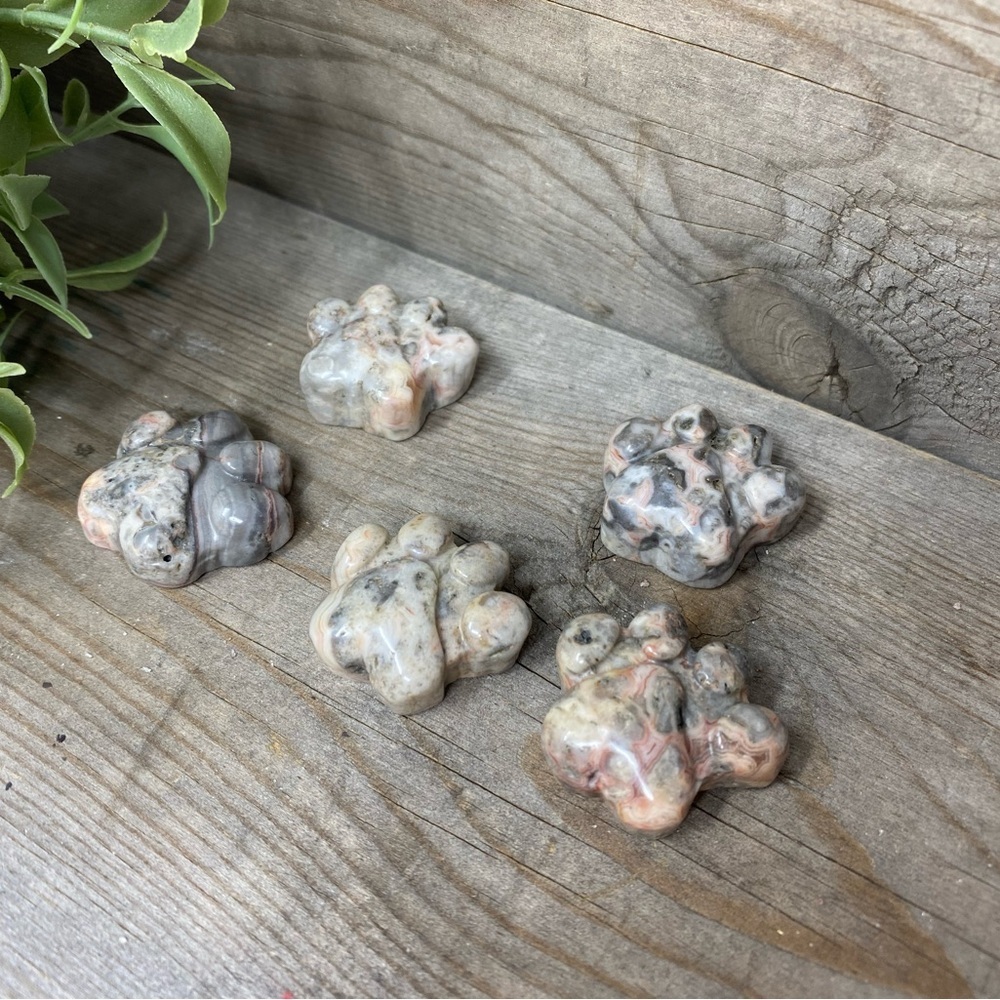 CRAZY Lace Agate Paw Carvings